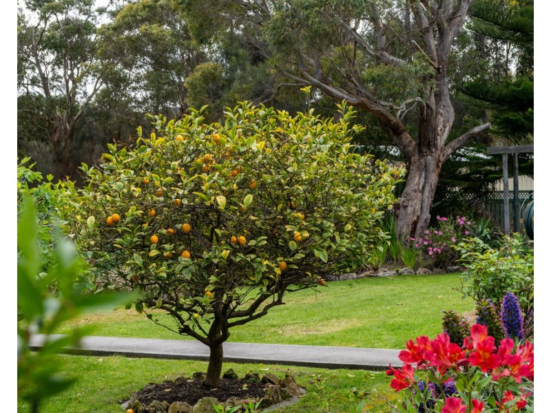 539 Memana Road, Whitemark TAS 7255