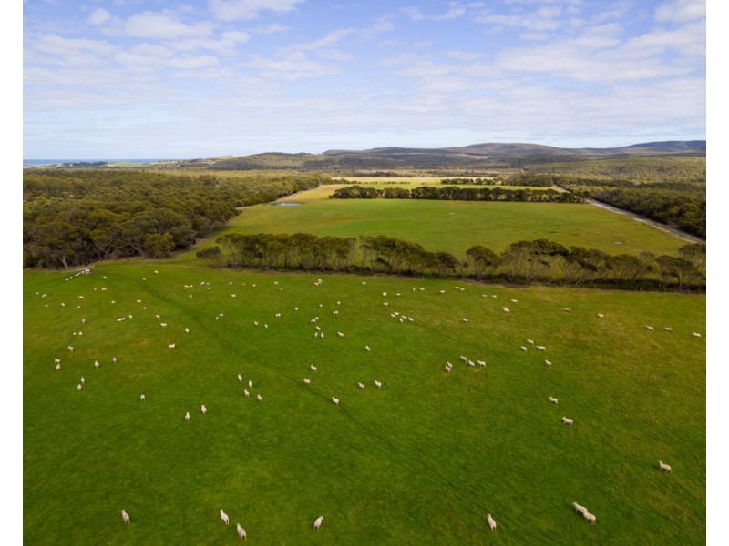 539 Memana Road, Whitemark TAS 7255