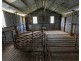 539 Memana Road, Whitemark TAS 7255