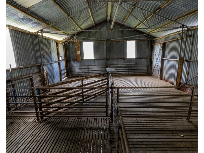 539 Memana Road, Whitemark TAS 7255