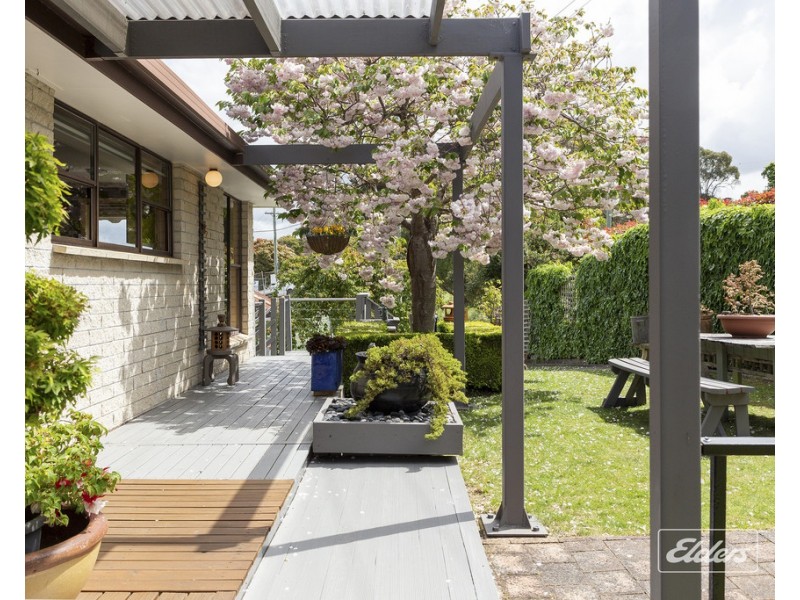 287 Windermere Road, Windermere TAS 7252