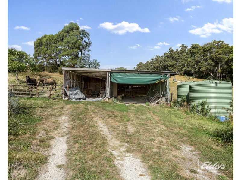 364 Golconda Road, Lilydale TAS 7268