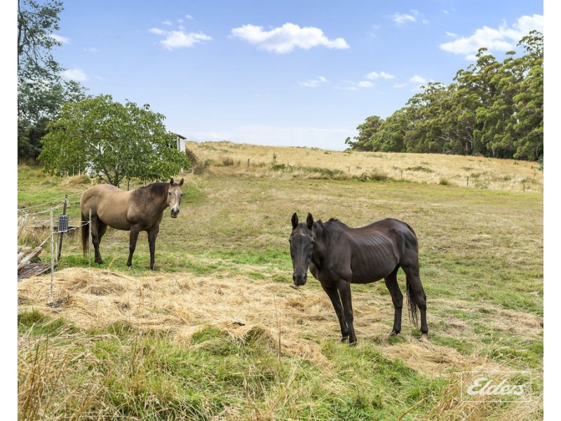 364 Golconda Road, Lilydale TAS 7268