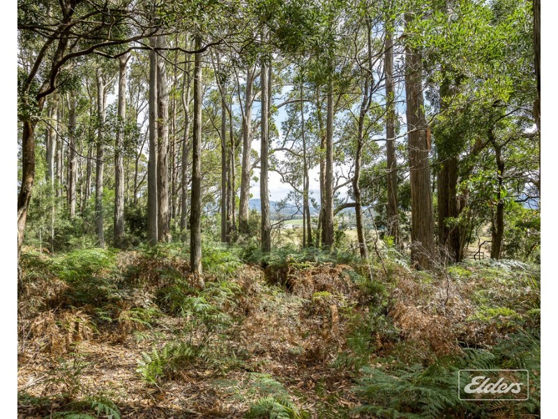 364 Golconda Road, Lilydale TAS 7268