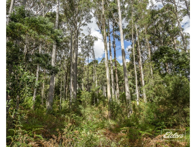 364 Golconda Road, Lilydale TAS 7268