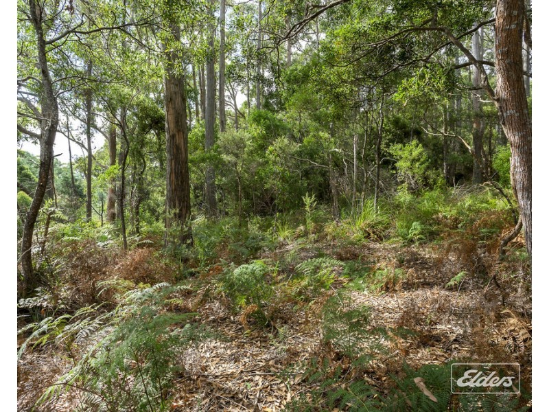 364 Golconda Road, Lilydale TAS 7268