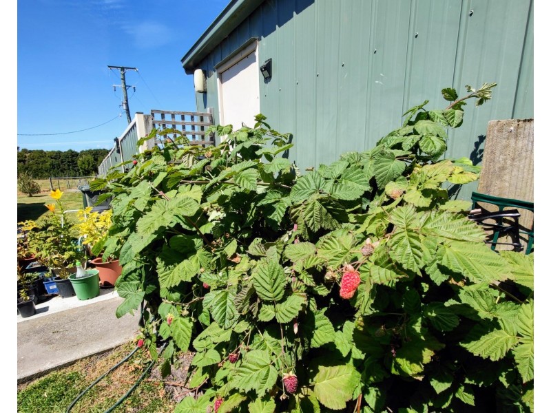 883 Coast Road, Lady Barron TAS 7255