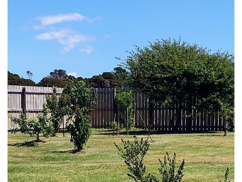 883 Coast Road, Lady Barron TAS 7255