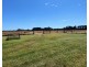 883 Coast Road, Lady Barron TAS 7255