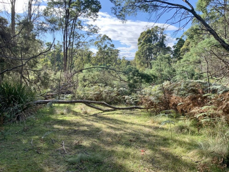 216 Magazine Road, Dilston TAS 7252