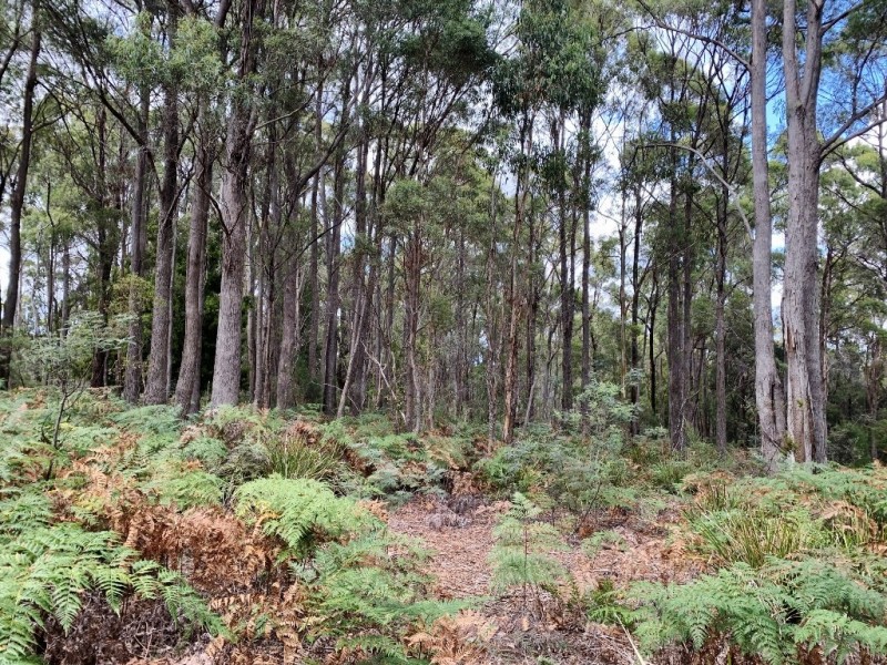 216 Magazine Road, Dilston TAS 7252