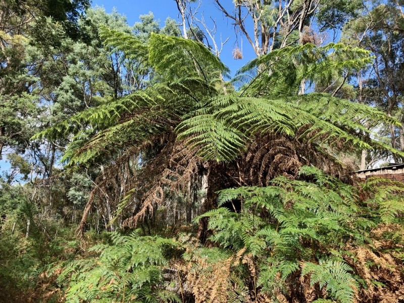 216 Magazine Road, Dilston TAS 7252