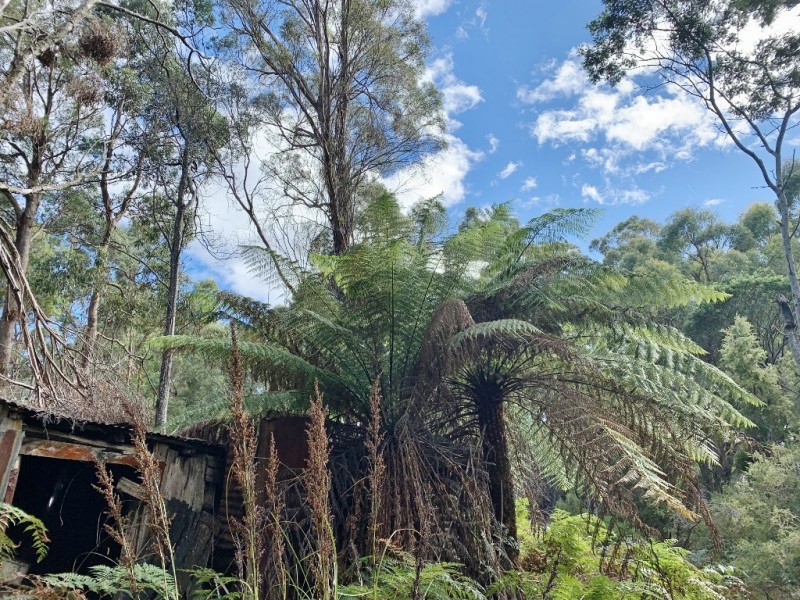 216 Magazine Road, Dilston TAS 7252