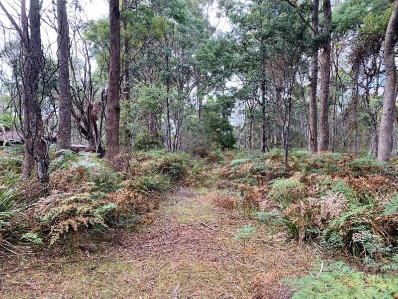 216 Magazine Road, Dilston TAS 7252