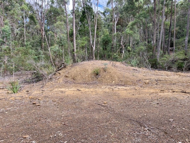 216 Magazine Road, Dilston TAS 7252