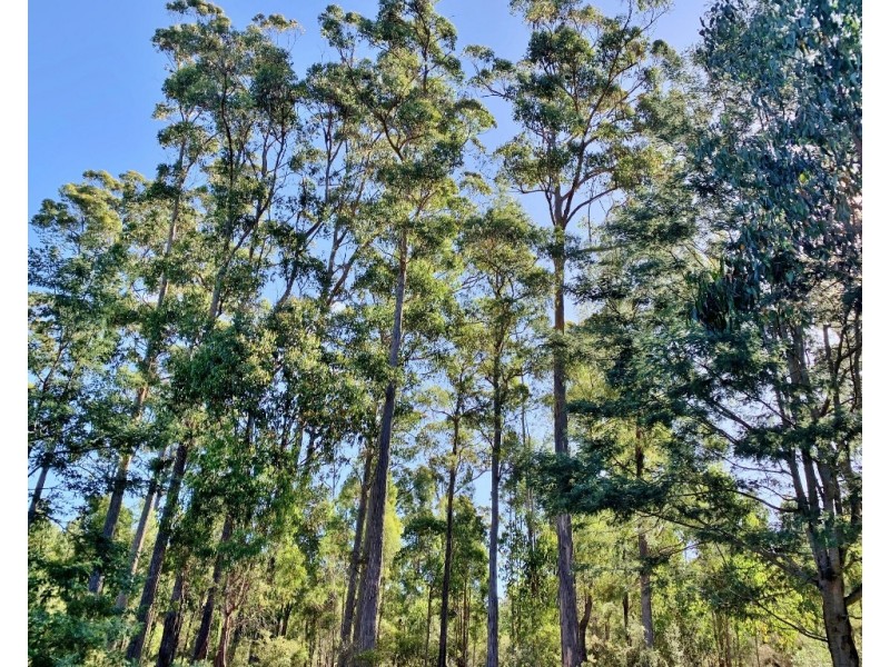 404 Gundagai Road, Tunnel TAS 7254