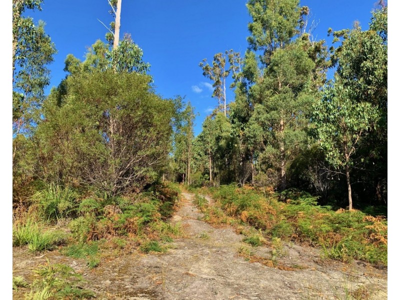 404 Gundagai Road, Tunnel TAS 7254
