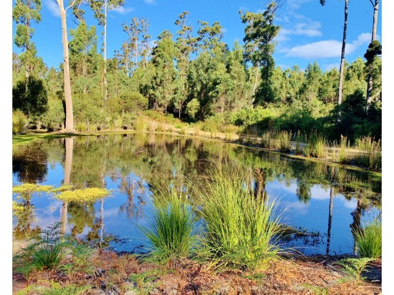 404 Gundagai Road, Tunnel TAS 7254
