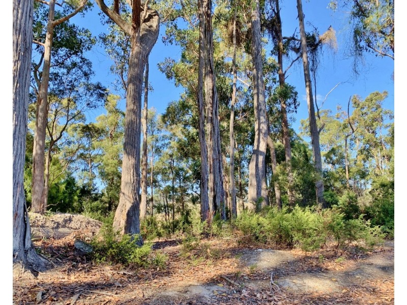 404 Gundagai Road, Tunnel TAS 7254