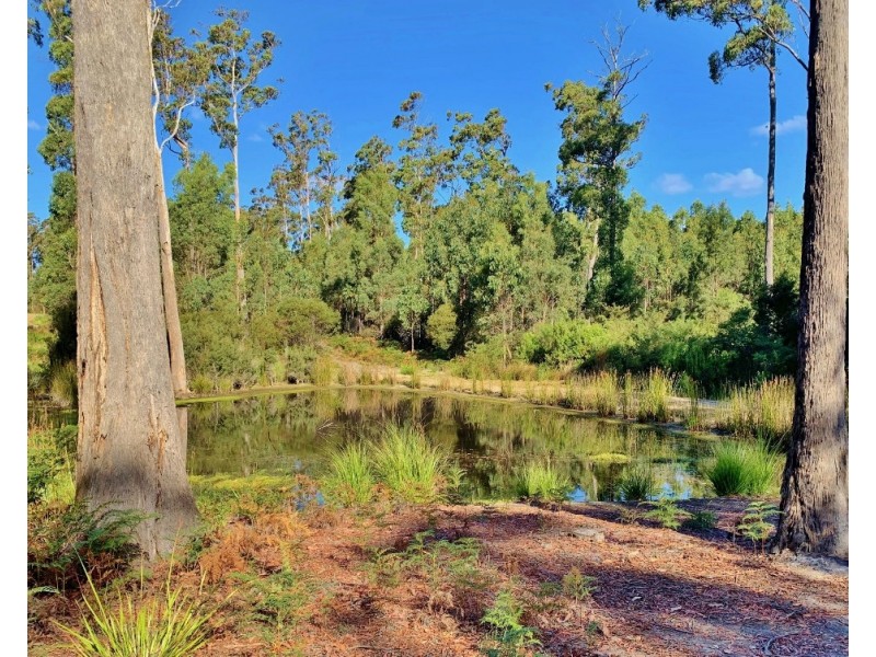 404 Gundagai Road, Tunnel TAS 7254