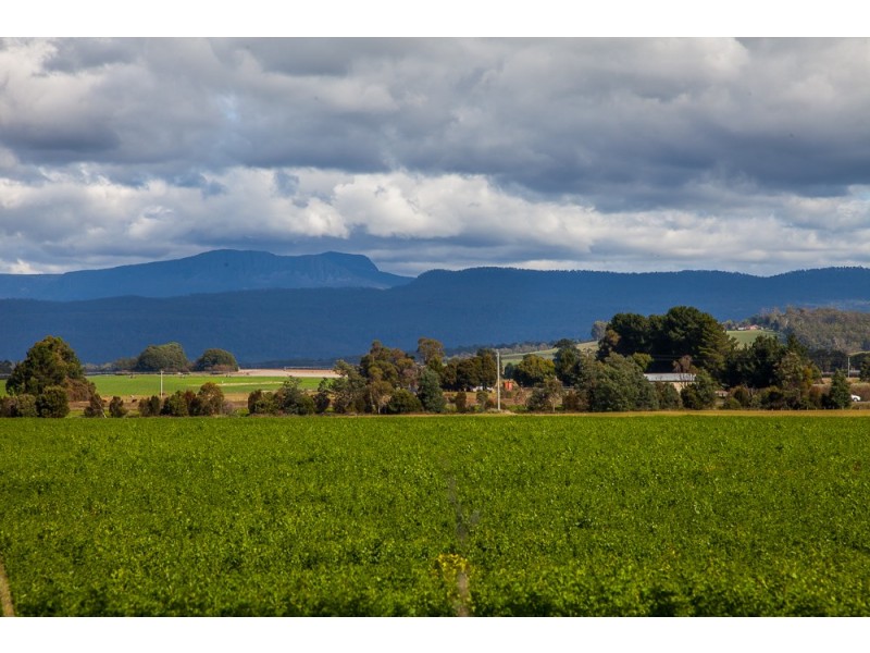 67 Meander Valley Road, Hagley TAS 7292