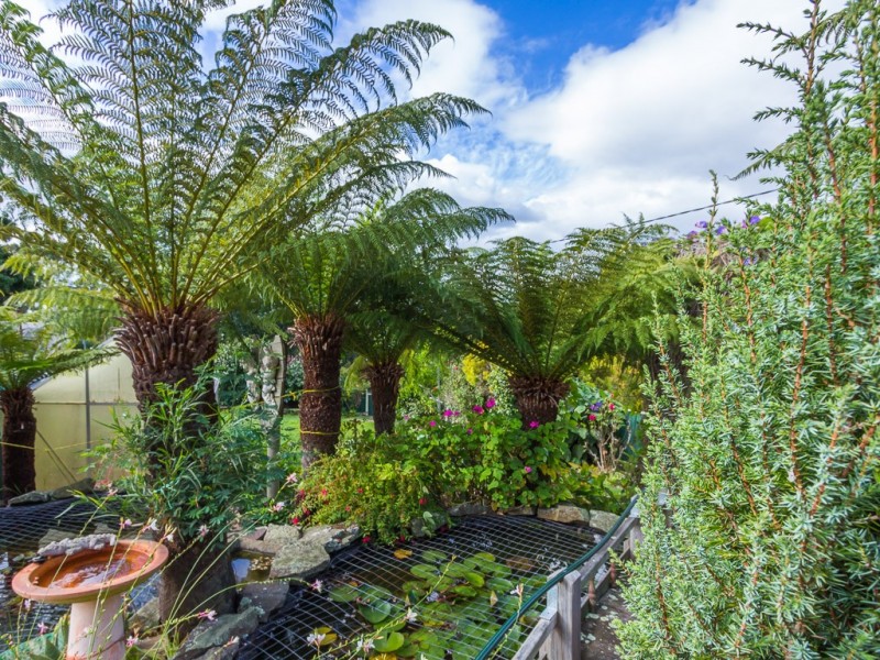 14 Main Road, Lanena TAS 7275