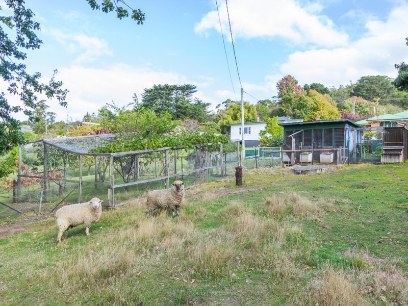14 Main Road, Lanena TAS 7275