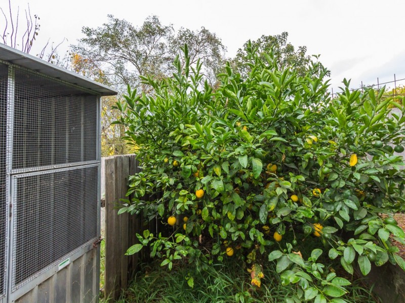 40 Merivale Street, South Launceston TAS 7249