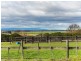 87 Five Acre Row, Westbury TAS 7303