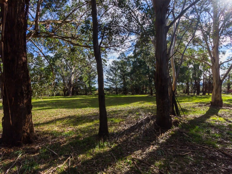 87 Five Acre Row, Westbury TAS 7303