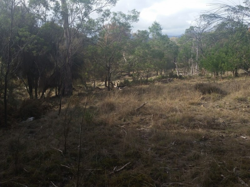 940 Deddington Road, Deddington TAS 7212