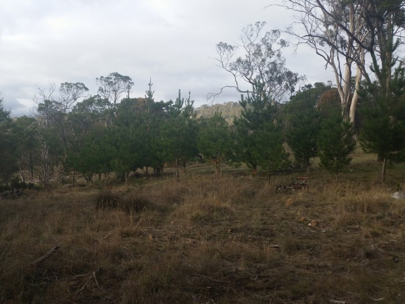 940 Deddington Road, Deddington TAS 7212
