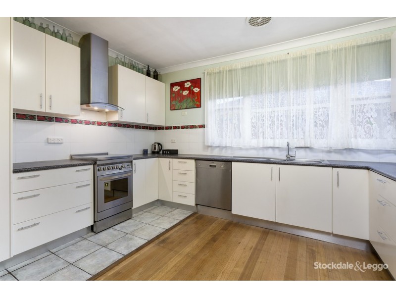 1 Lex Grove, Oak Park VIC 3046