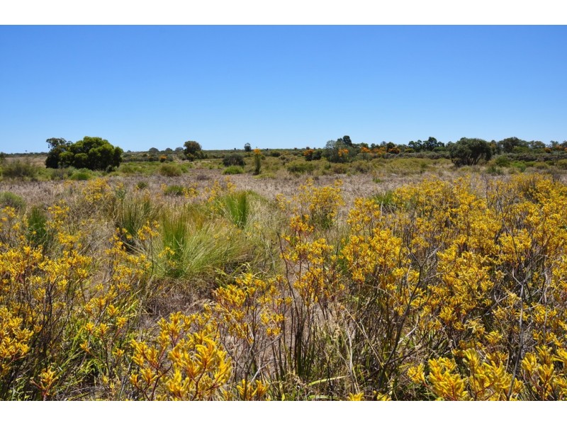 Lot 166 Wildflower Ridge Estate, Lower Chittering WA 6084