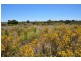 Lot 171 Wildflower Ridge Estate, Lower Chittering WA 6084