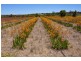 Lot 171 Wildflower Ridge Estate, Lower Chittering WA 6084