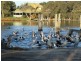 2 Nairn Road, Coodanup WA 6210