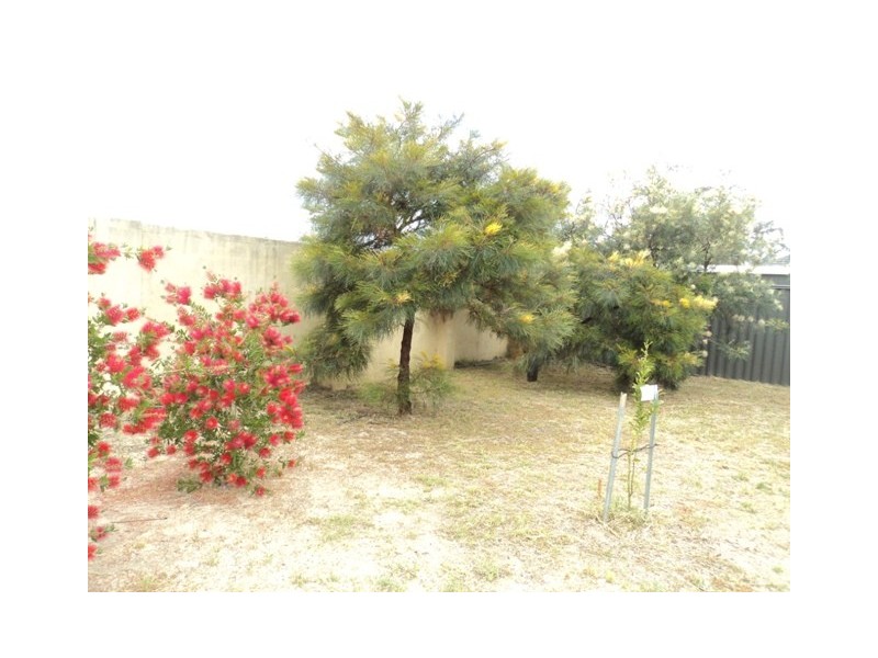 24 TRAVERS WAY, Aveley WA 6069