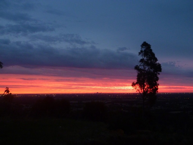 49 Daniel Place, Baskerville WA 6056