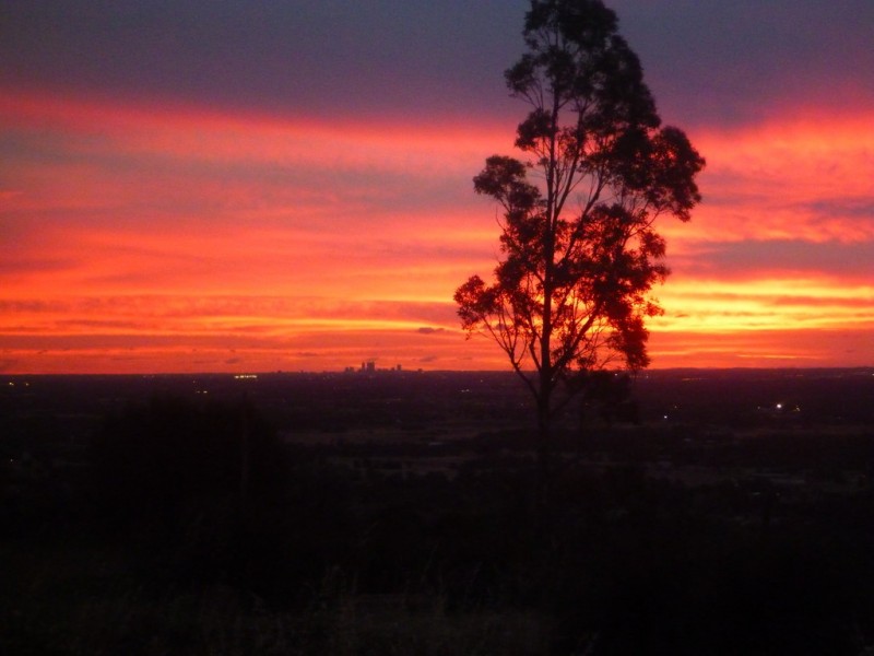 49 Daniel Place, Baskerville WA 6056