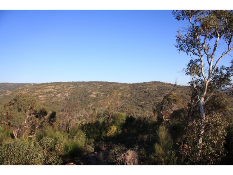 49 Daniel Place, Baskerville WA 6056