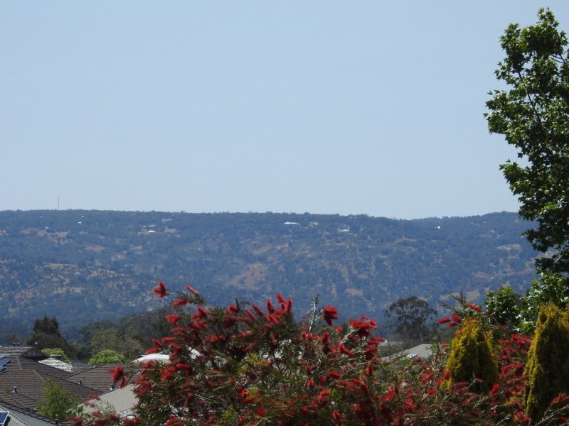 141 Fantail Cres, Ellenbrook WA 6069