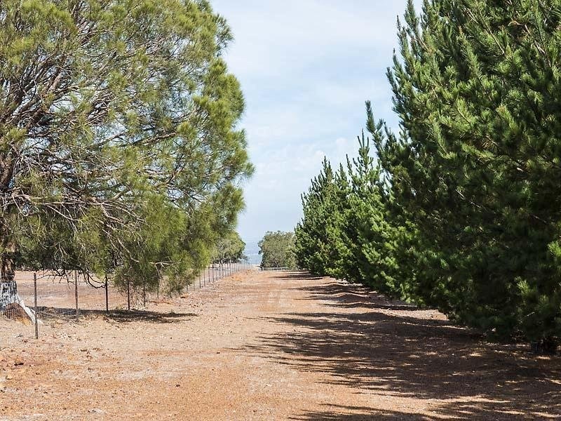 21 Basuto Rise, Brigadoon WA 6069