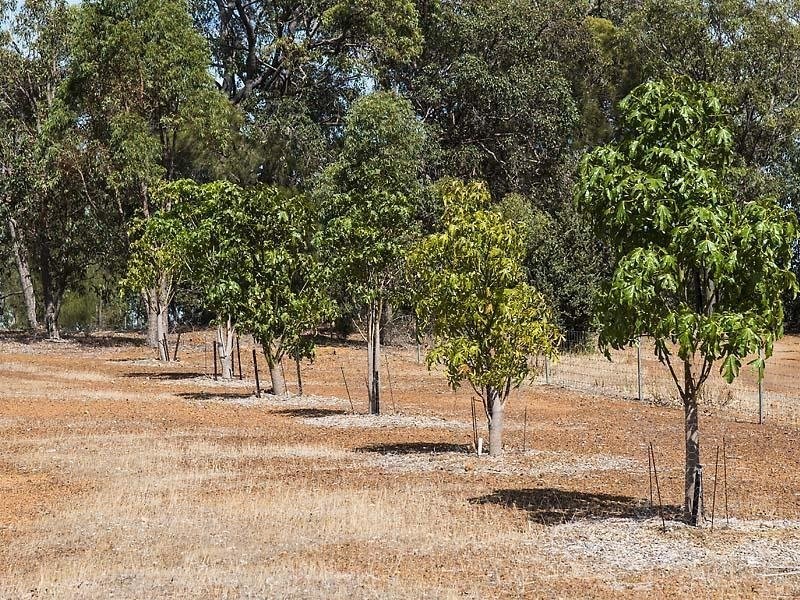 21 Basuto Rise, Brigadoon WA 6069