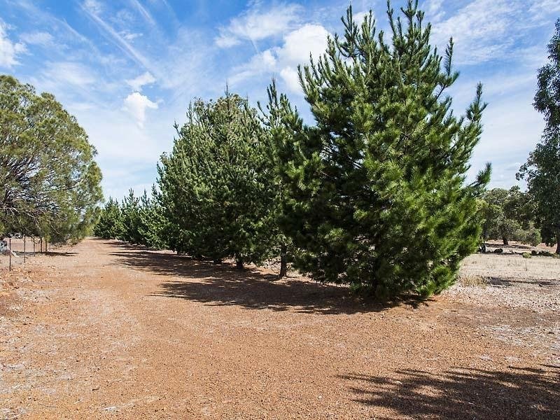 21 Basuto Rise, Brigadoon WA 6069