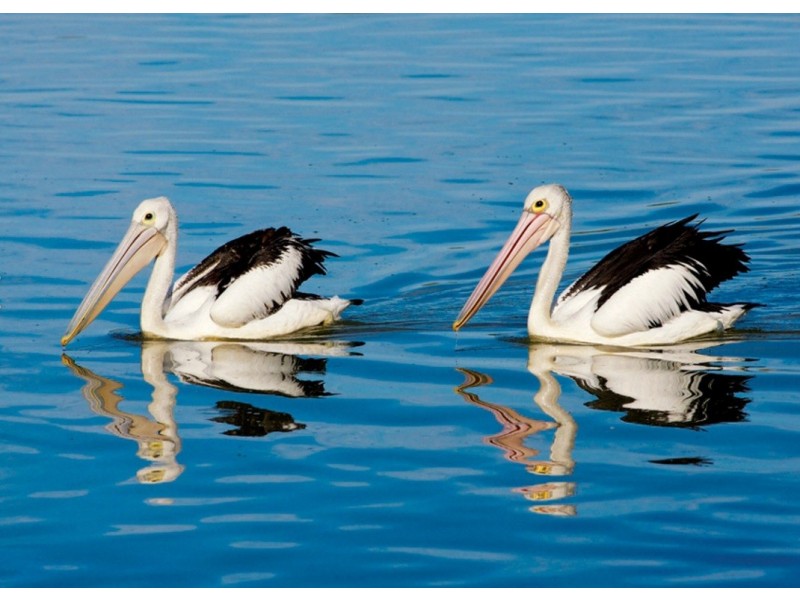 Lot 1001 Murray River Escape, South Yunderup WA 6208