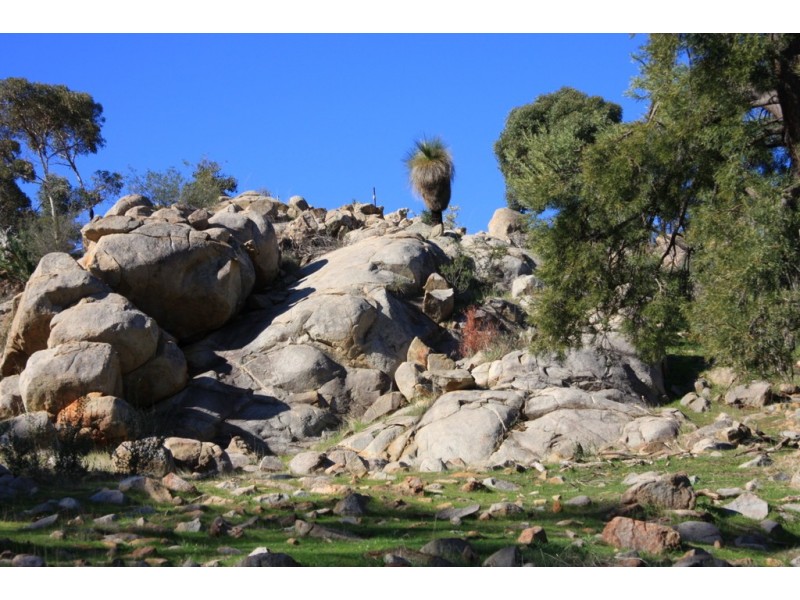 Lot 166 Weir Road, Baskerville WA 6056