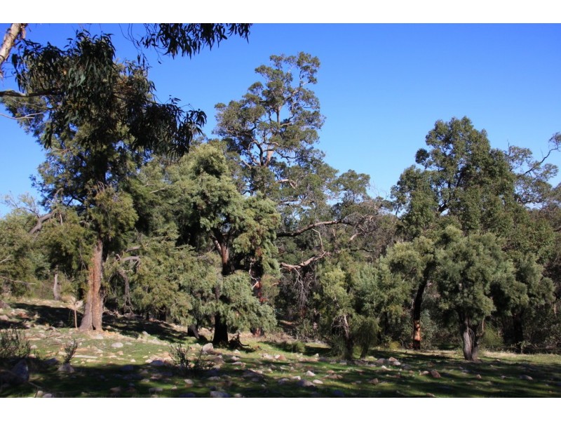 Lot 166 Weir Road, Baskerville WA 6056