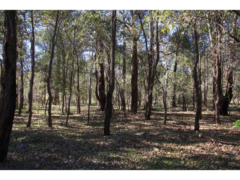 Lot 166 Weir Road, Baskerville WA 6056