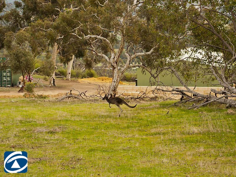 Lot 166 Weir Road, Baskerville WA 6056